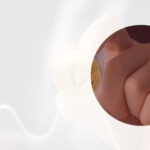 Is Dubai tax free for crypto