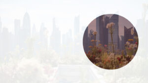 What is ESG in DUBAI